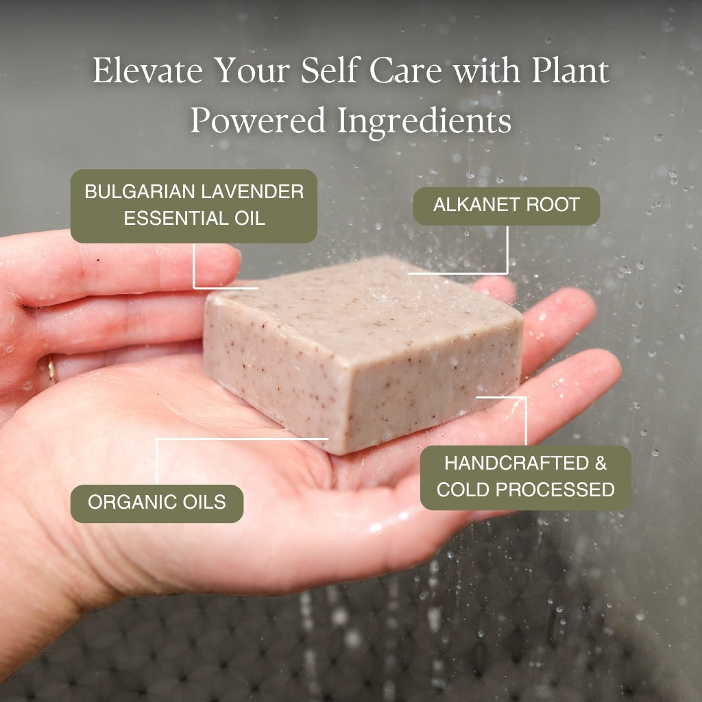 A hand holds a rectangular bar of handmade PROV 31 soap in the shower, with text callouts identifying its ingredients: Bulgarian Lavender Essential Oil, Alkanet Root, Organic Oils, and Handcrafted & Cold Processed.