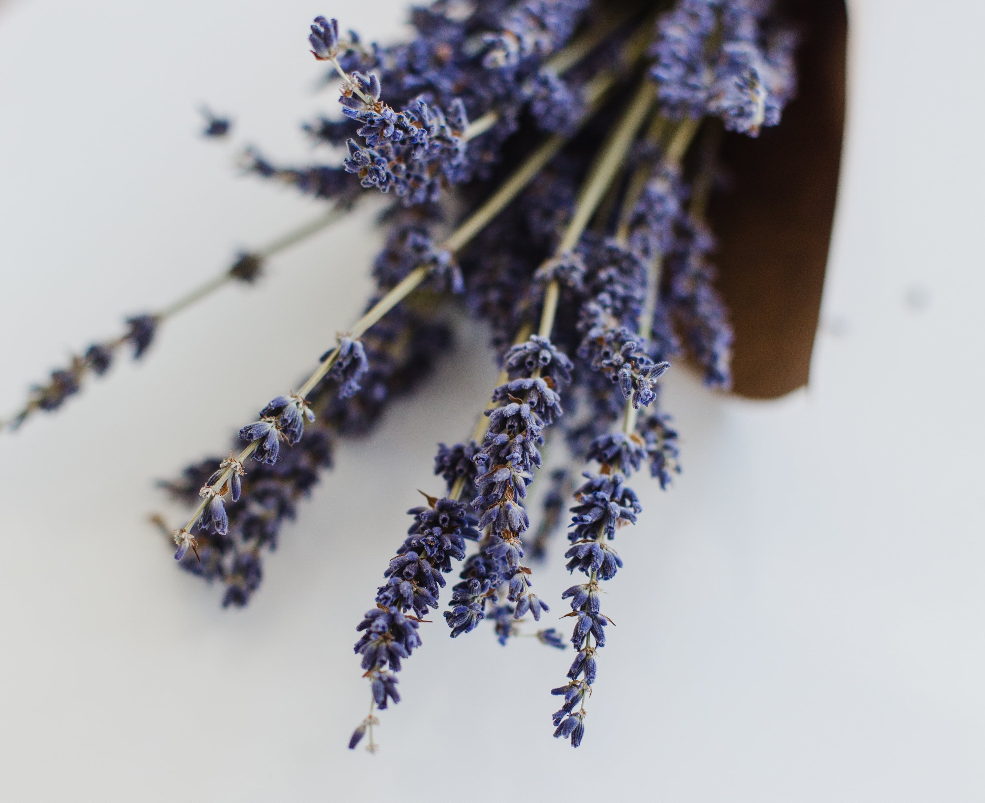 close up of lavender bouquet