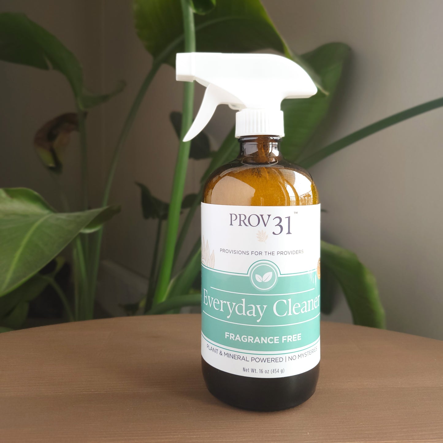 Lifestyle photograph of prov 31 all purpose cleaner on a wooden table with a plant in the background.
