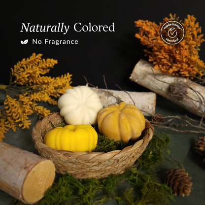 Decorative setting with pumpkins soaps, moss, and natural elements on a dark background.