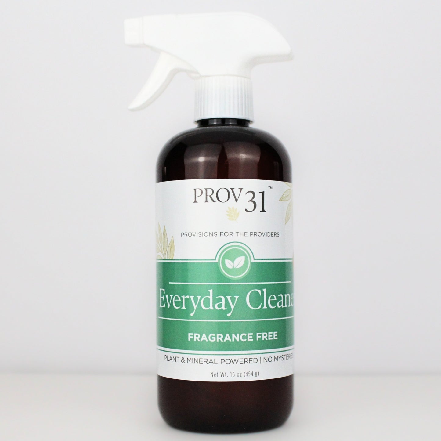 Spray bottle labeled 'PROV31 Everyday Cleaner' on a white background.