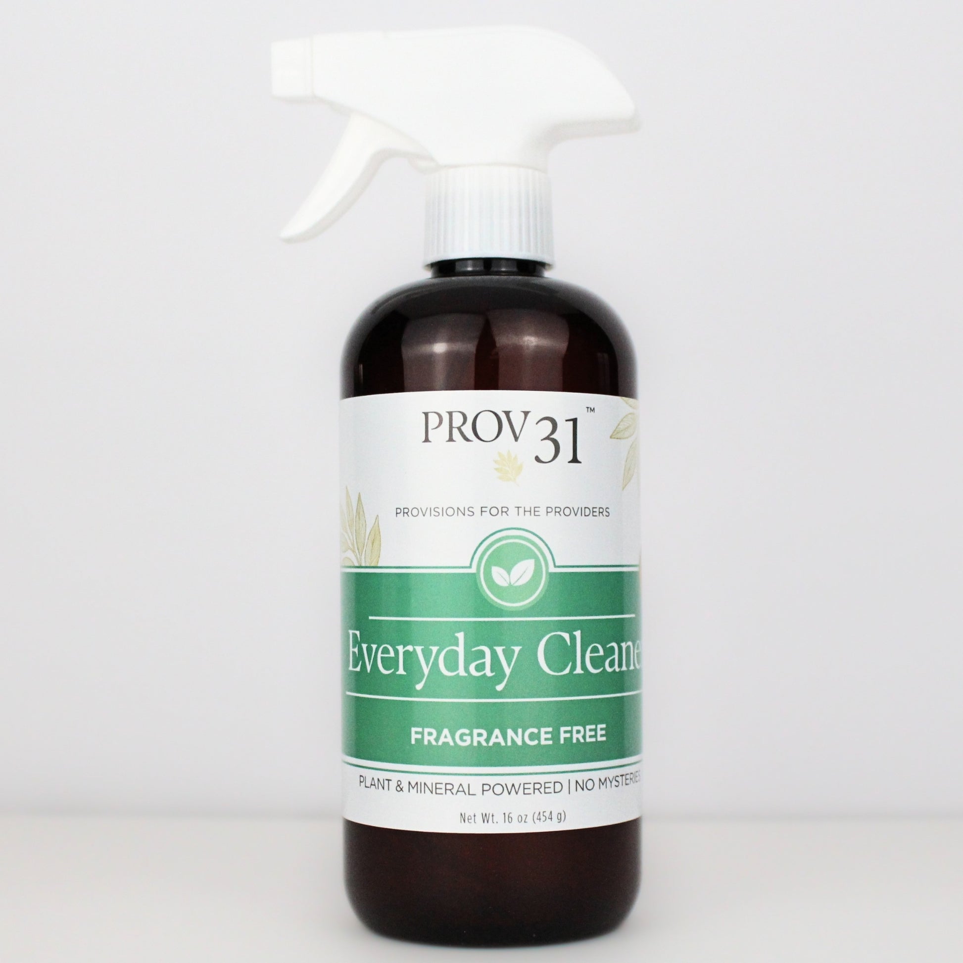 Spray bottle labeled 'PROV31 Everyday Cleaner' on a white background.
