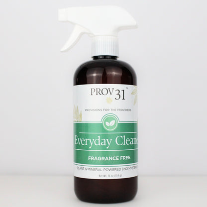 Spray bottle labeled 'PROV31 Everyday Cleaner' on a white background.