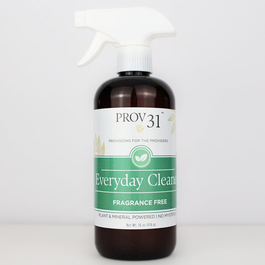 Spray bottle labeled 'PROV31 Everyday Cleaner' on a white background.