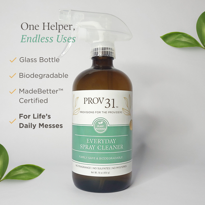 Prov 31 everyday spray cleaner in a glass bottle with green label on a white background that reads biodegradable and for life's daily messes.