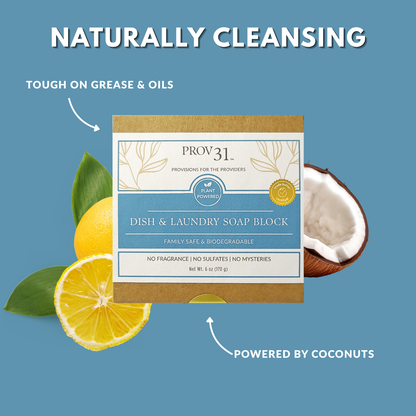 PROV 31 dish and laundry soap block with lemons and a coconut on a blue background