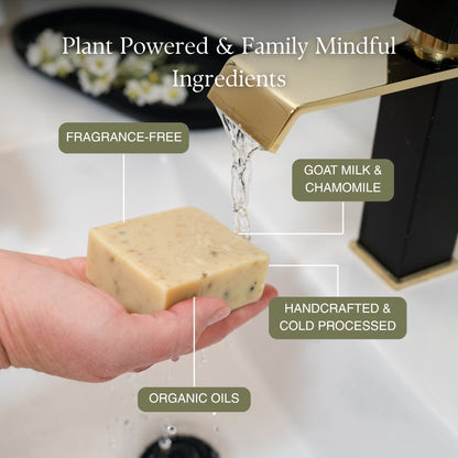 A hand holds a rectangular bar of pale beige handmade soap by PROV 31 under a gold faucet with water flowing, surrounded by text callouts reading 'FRAGRANCE-FREE', 'GOAT MILK & CHAMOMILE', 'HANDCRAFTED & COLD PROCESSED', and 'ORGANIC OILS'.