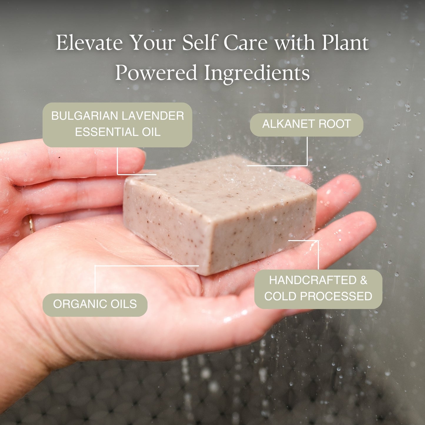 Natural Soap Solace: Bulgarian lavender essential oil, alkanet root, handcrafted and cold processed, organic oils
